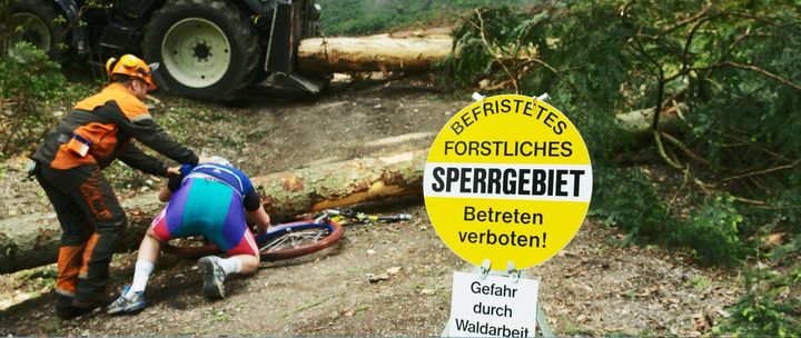 ReportATree